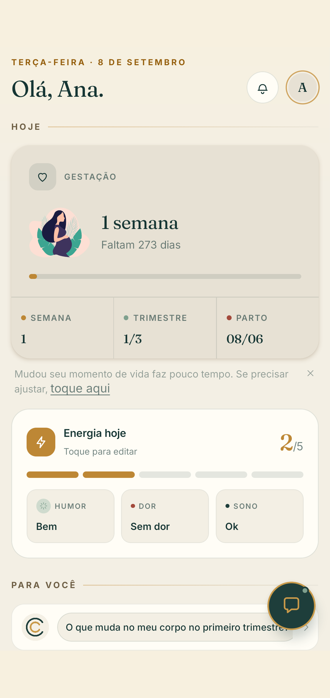 Tela inicial do Cynamon no modo gestação: semana atual, trimestre, data provável do parto e energia do dia